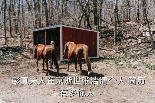  彭真夫人在京逝世張潔清個人 簡歷有多驚人