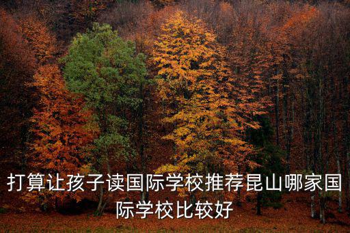 打算讓孩子讀國際學(xué)校推薦昆山哪家國際學(xué)校比較好