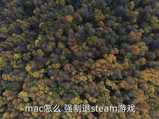  mac怎么 強制退steam游戲