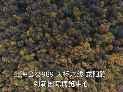 上海公交989 大橋六線 龍陽路 到新國際博覽中心