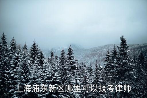 上海浦東新區哪里可以報考律師