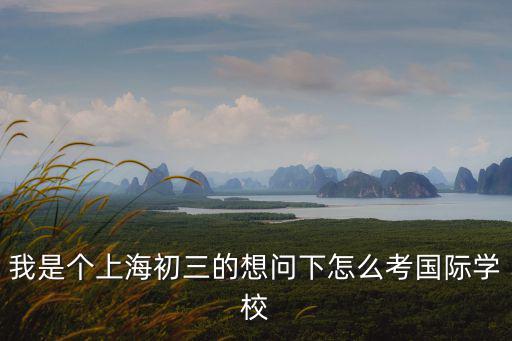 我是個上海初三的想問下怎么考國際學校