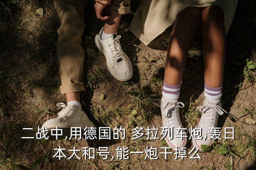 二戰中,用德國的 多拉列車炮,轟日本大和號,能一炮干掉么