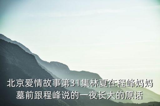 北京愛(ài)情故事林夏，北京愛(ài)情故事 為什么都喜歡林夏
