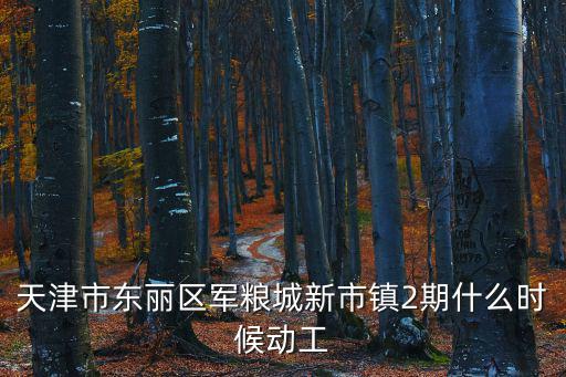 天津市東麗區新立二期，天津市東麗區軍糧城新市鎮2期什么時候動工