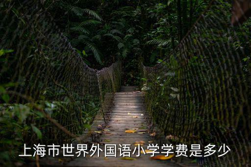 上海市世界外國語小學學費是多少