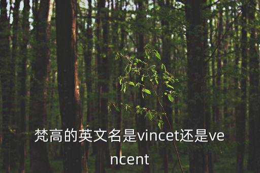 梵高的英文名是vincet還是vencent
