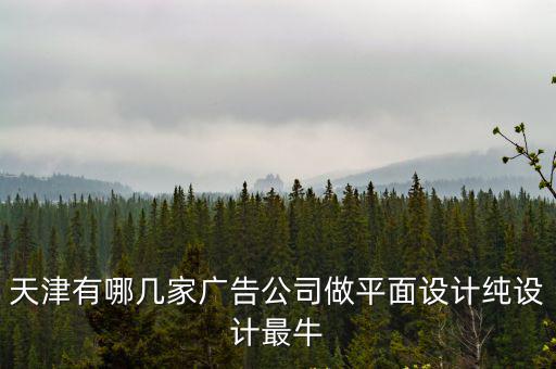 天津有哪幾家廣告公司做平面設計純設計最牛
