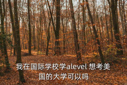 我在國際學校學alevel 想考美國的大學可以嗎