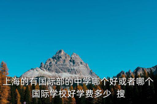 上海的有國際部的中學哪個好或者哪個國際學校好學費多少  搜