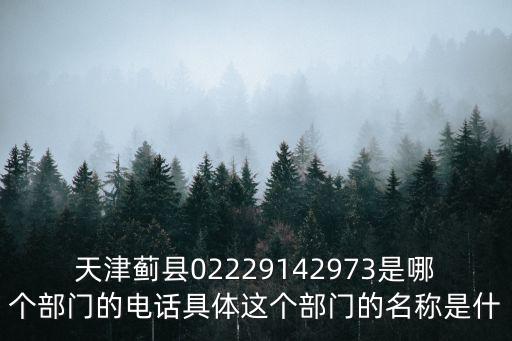 天津薊縣02229142973是哪個部門的電話具體這個部門的名稱是什