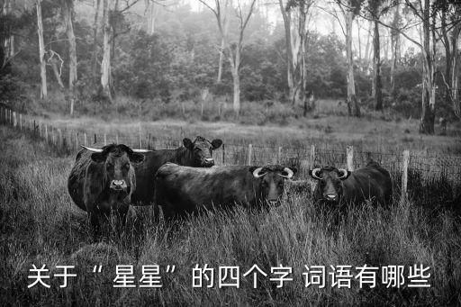 形容星星的詞語,星期三的星期四