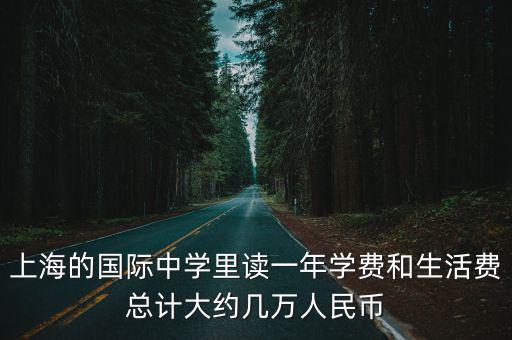 上海的國際中學(xué)里讀一年學(xué)費和生活費總計大約幾萬人民幣