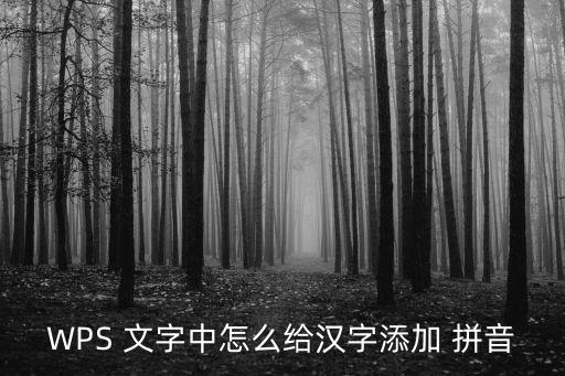 怎么給文字加拼音,點擊拼音按鈕或復制粘貼文字!