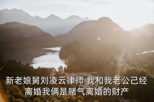 新老娘舅劉凌云律師 我和我老公己經離婚我倆是賭氣離婚的財產
