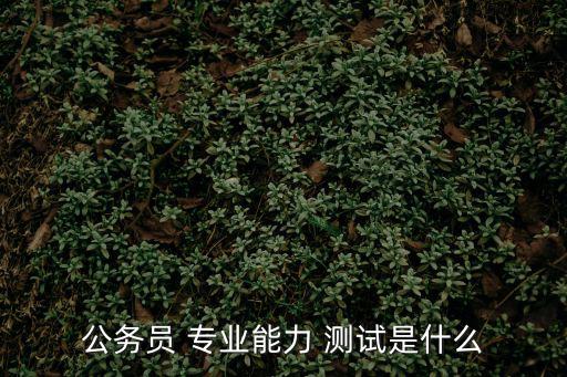 公務(wù)員 專業(yè)能力 測試是什么