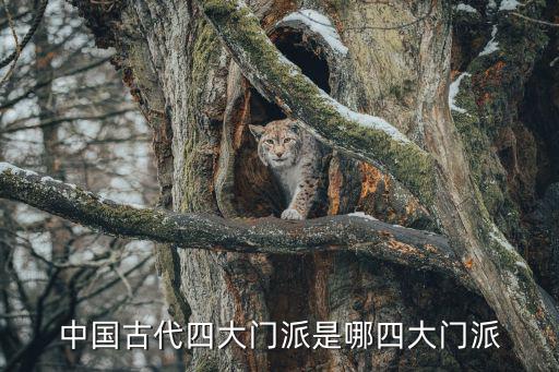 李家拳,中原武術流派南拳五唐門分列