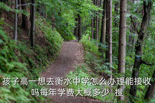 叛逆學校多少錢一年衡水，叛逆少年管教學校怎么收費的