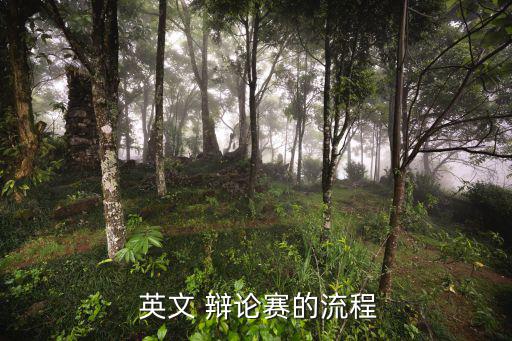 辯論英文,三道題目時間安排表