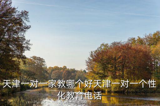 天津市東方之星教育信息咨詢有限公司，天津一對一家教哪個好天津一對一個性化教育電話