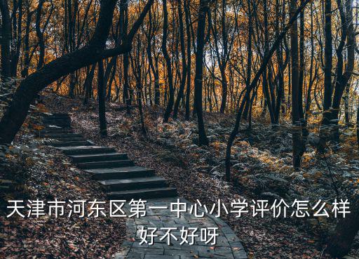 天津市河東區第一中心小學評價怎么樣好不好呀