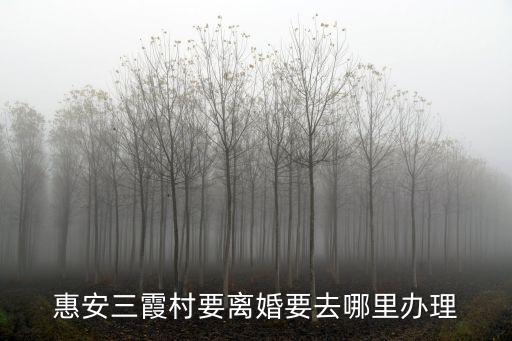 惠安三霞村要離婚要去哪里辦理