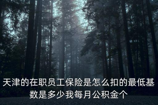 天津的在職員工保險是怎么扣的最低基數(shù)是多少我每月公積金個