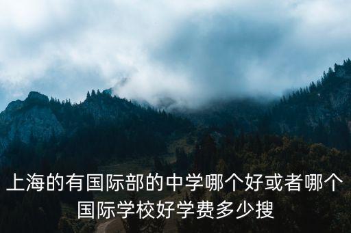 上海市位育中學國際部學費，上海西南位育高中除了4500雜費 好有沒有擇校費了呢