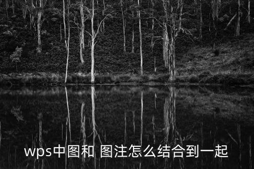 wps中圖和 圖注怎么結(jié)合到一起