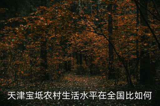 天津?qū)氎孓r(nóng)村生活水平在全國比如何