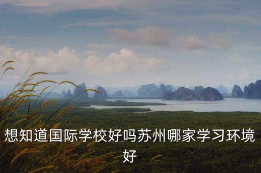 啟華國際學校好不好，不知道哪個國際學校好誰給推薦下
