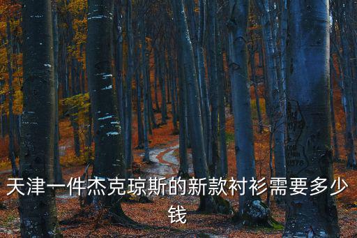 天津一件杰克瓊斯的新款襯衫需要多少錢