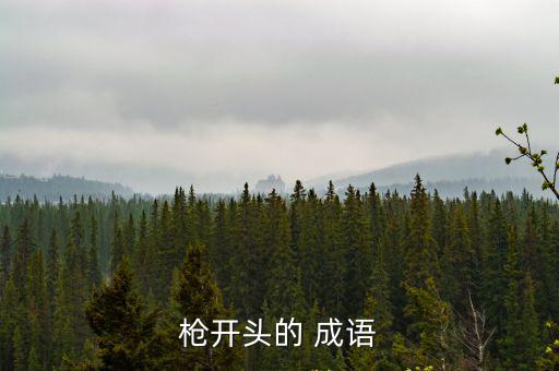 槍的成語,第一只鳥:比喻英勇或領(lǐng)先