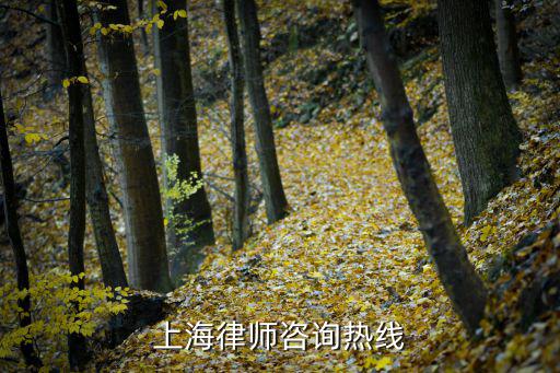 上海律師咨詢熱線