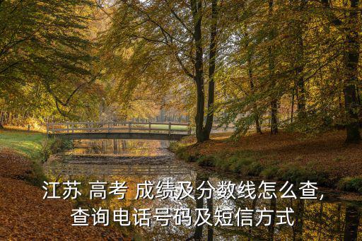  江蘇 高考 成績及分數線怎么查, 查詢電話號碼及短信方式