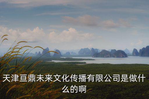 天津亙鼎未來文化傳播有限公司是做什么的啊