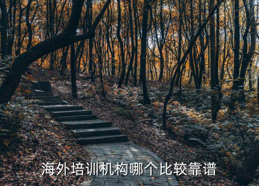 海外培訓機構哪個比較靠譜