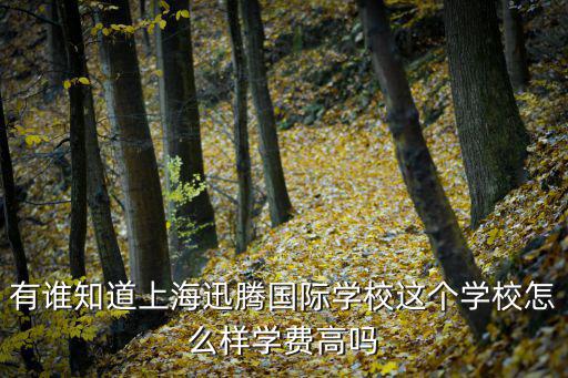 上海國際學校每年費用，上海教科實驗中學的國際部讀完三年高中要大概多少錢