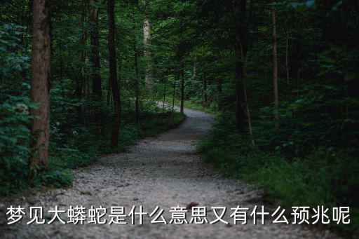 夢(mèng)見大蟒蛇是什么意思又有什么預(yù)兆呢