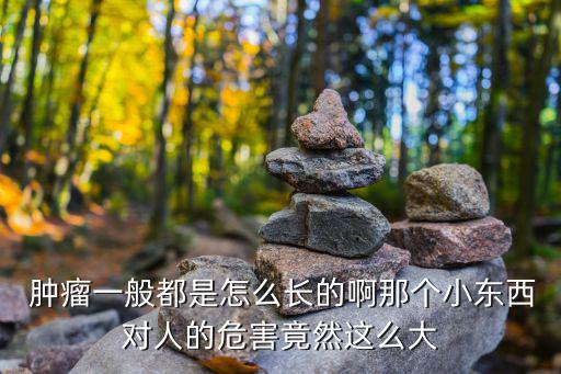  腫瘤一般都是怎么長的啊那個小東西對人的危害竟然這么大