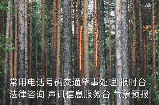 常用電話號(hào)碼交通肇事處理 報(bào)時(shí)臺(tái) 法律咨詢 聲訊信息服務(wù)臺(tái) 氣象預(yù)報(bào)