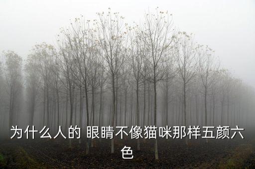 為什么人的 眼睛不像貓咪那樣五顏六色