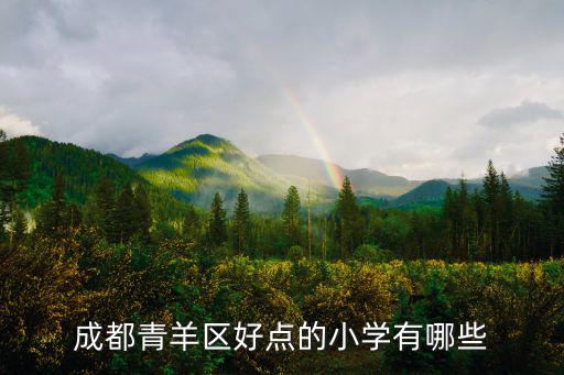 成都青羊區好點的小學有哪些