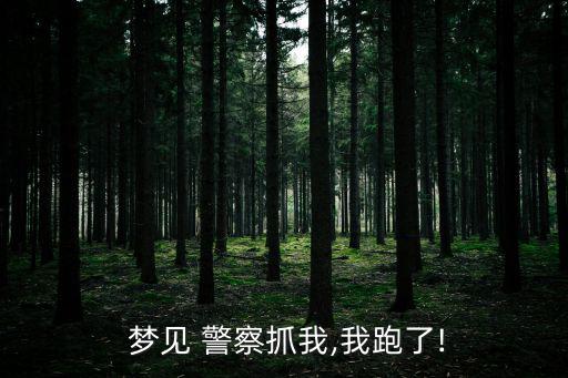  夢見 警察抓我,我跑了!