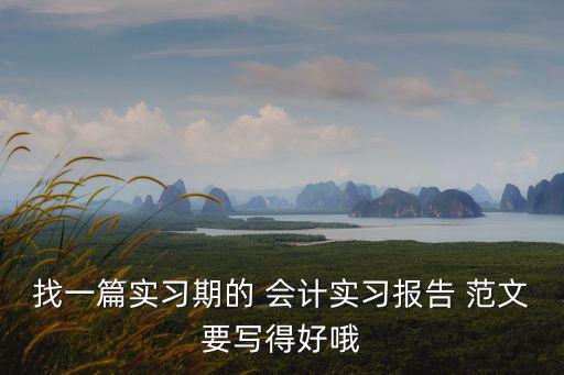 找一篇實習期的 會計實習報告 范文要寫得好哦