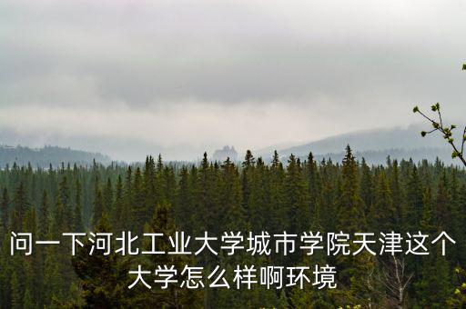問一下河北工業大學城市學院天津這個大學怎么樣啊環境