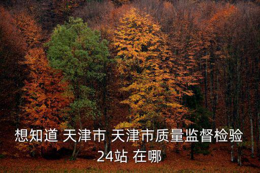 想知道 天津市 天津市質量監督檢驗24站 在哪