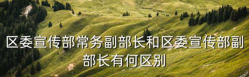 區委宣傳部常務副部長和區委宣傳部副部長有何區別