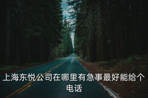 上海東悅公司在哪里有急事最好能給個(gè)電話