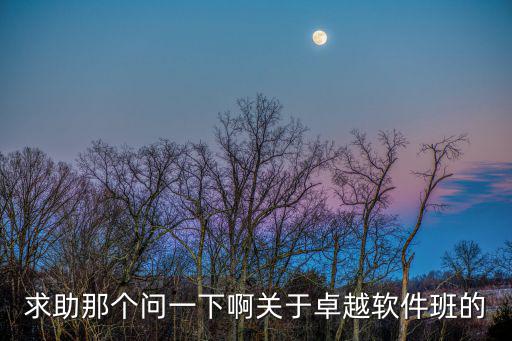 求助那個問一下啊關(guān)于卓越軟件班的